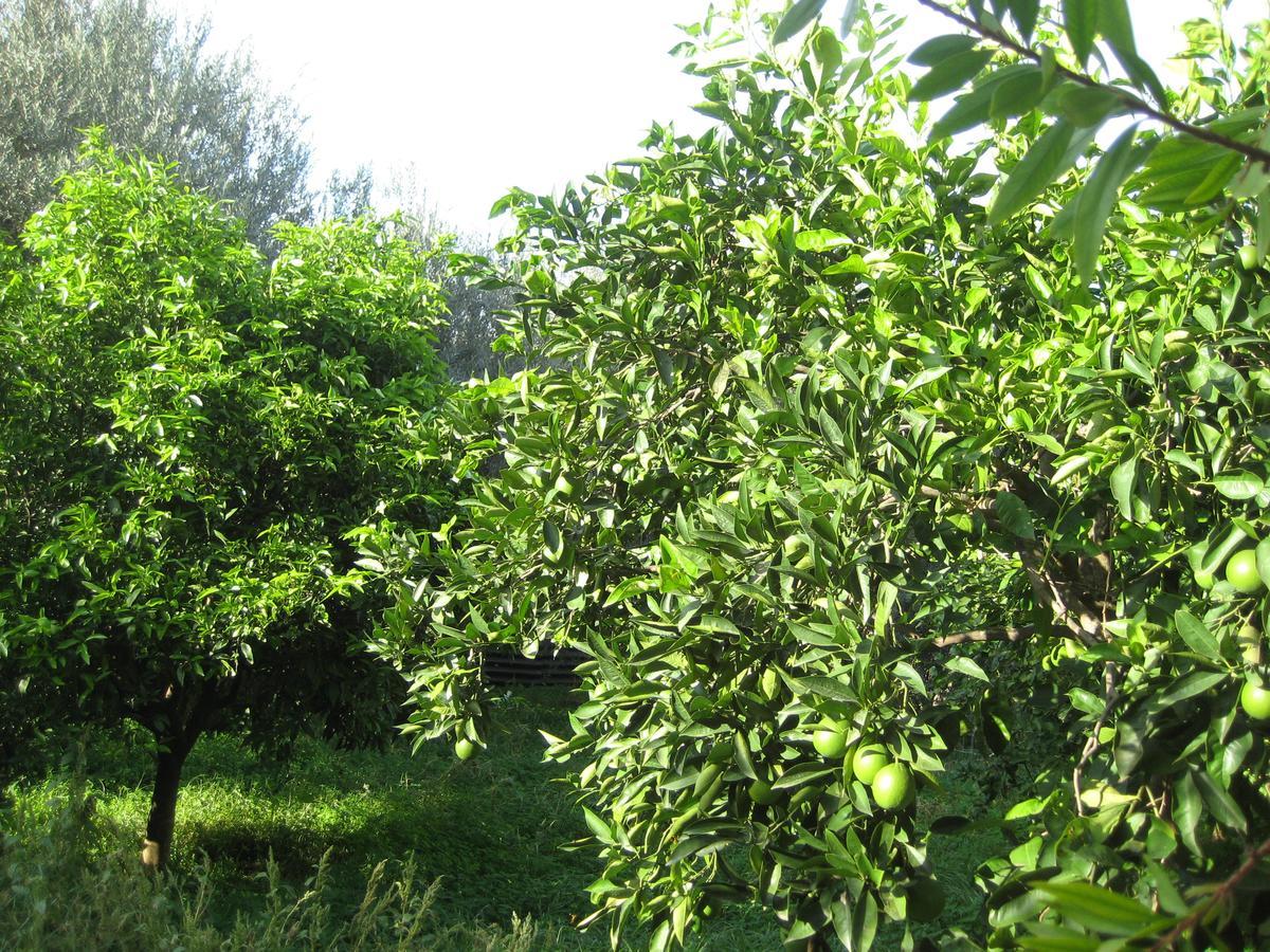 Oasi Del Lago Regalbuto Εξωτερικό φωτογραφία