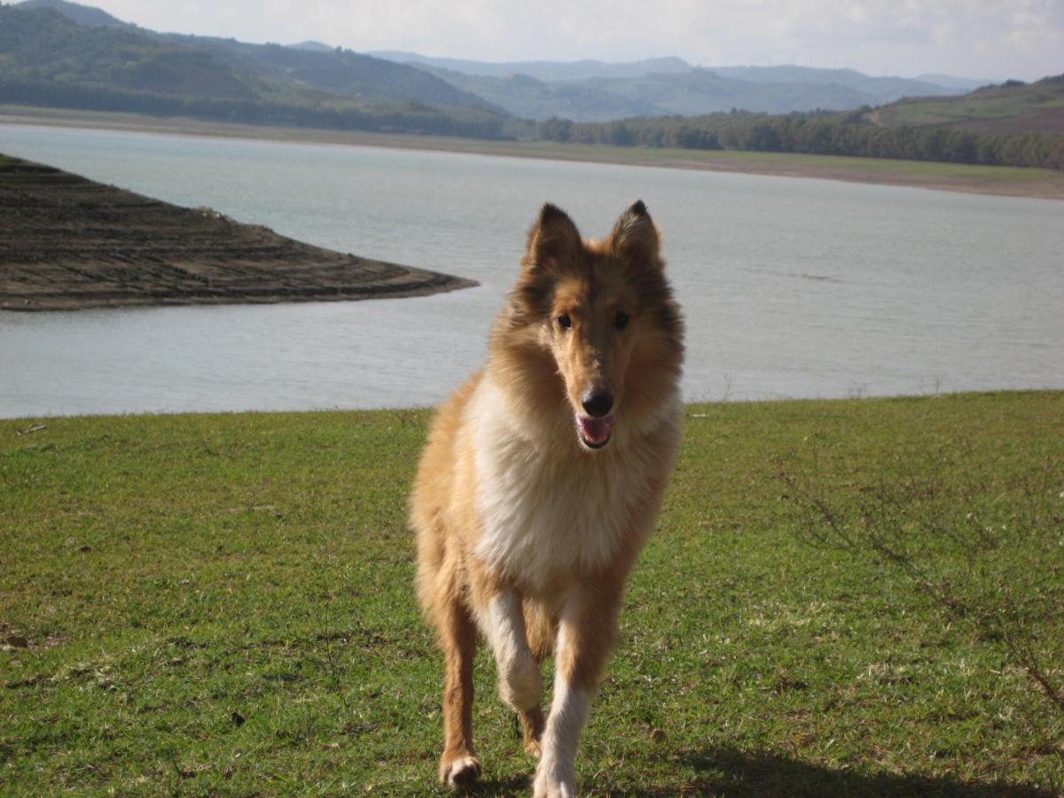 Oasi Del Lago Regalbuto Εξωτερικό φωτογραφία
